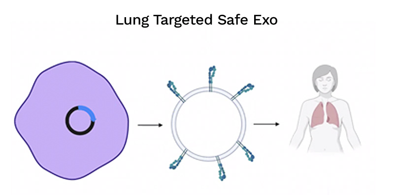 lung-targeted-safe-exo